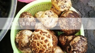 干香菇?茶树菇的快速发泡法