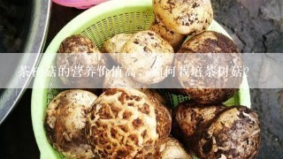 茶树菇的营养价值高，如何栽培茶树菇？