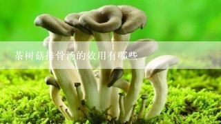 茶树菇排骨汤的效用有哪些