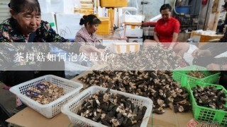 茶树菇如何泡发最好？