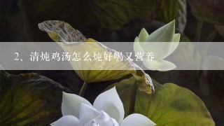 清炖鸡汤怎么炖好喝又营养