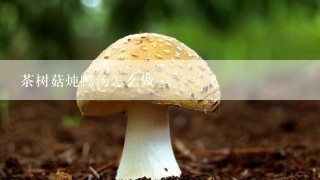 茶树菇炖鸭汤怎么做