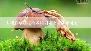 大棚香菇种植技术培训湖北省哪个地方