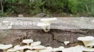 茶树菇排骨汤如何做