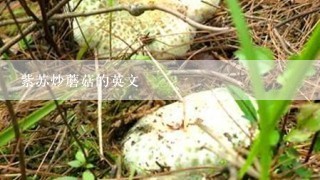 紫苏炒蘑菇的英文