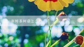 新鲜茶树菇怎么炒