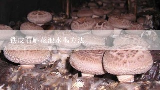 铁皮石斛花泡水喝方法