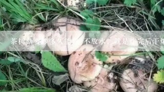 茶树菇要炒多久能熟?不放水，就是炸完后干煸。这样