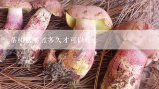 茶树菇要煮多久才可以吃？