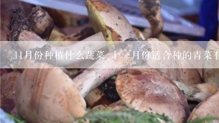 11月份种植什么蔬菜 十一月份适合种的青菜有哪些