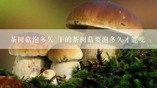 茶树菇泡多久 干的茶树菇要泡多久才能吃