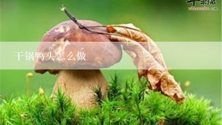 干锅鸭头怎么做