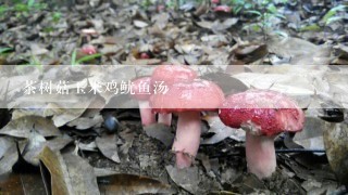 茶树菇玉米鸡鱿鱼汤