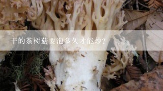 干的茶树菇要泡多久才能炒？