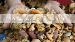 五花肉干茶树菇做法
