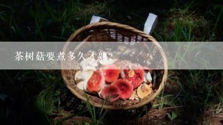 茶树菇要煮多久才熟？