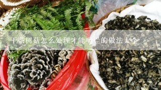 干茶树菇怎么处理才能嚼烂的做法大全