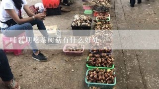 哺乳期吃茶树菇有什么好处