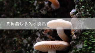 茶树菇炒多久才能熟？