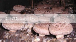 茶树菇怎么煮才能烂？