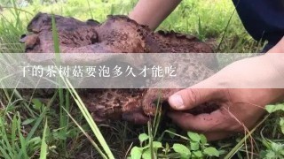 干的茶树菇要泡多久才能吃