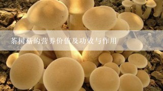 茶树菇的营养价值及功效与作用