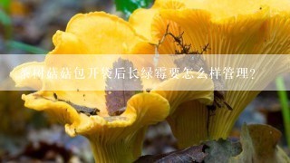 茶树菇菇包开袋后长绿霉要怎么样管理？