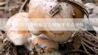 今天买的干茶树菇怎么闻起来有点怪味？