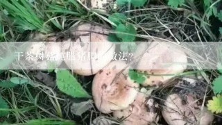 干茶树菇炖腊猪脚的做法？