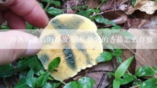 炒熟的香菇的存放方法 炒熟的香菇怎么存放