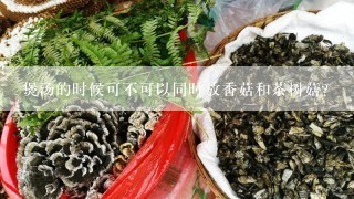 煲汤的时候可不可以同时放香菇和茶树菇？