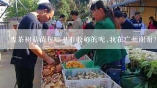 废茶树菇菌包哪里有收够的呢,我在广州谢谢?