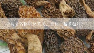 求蔬菜名称以及英文、音标，越多越好?