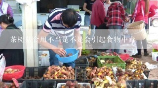 茶树菇食用不当是不是会引起食物中毒