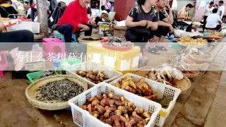 为什么茶树菇有鱼腥味