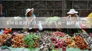 茶树菇能跟在山上踩的野生菌一起炒来吃吗？