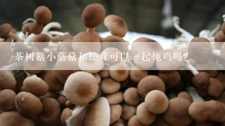 茶树菇小蘑菇和松茸可以一起炖鸡吗？