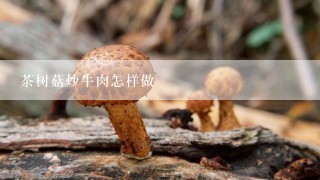 茶树菇炒牛肉怎样做