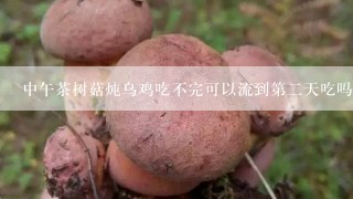 中午茶树菇炖乌鸡吃不完可以流到第二天吃吗