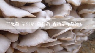 杏鲍菇 茶树菇 鸡腿菇 香菇怎样熬汤？