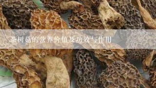 茶树菇的营养价值及功效与作用