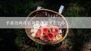 平菇出两荏后菌袋内缺水怎么办