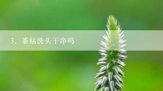 茶枯洗头干净吗