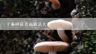 干茶树菇煮面做法大全