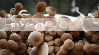 一般干茶树菇要泡多久