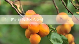 茶树菇鸭汤怎么做呀