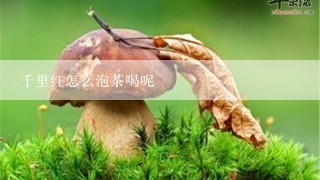 千里红怎么泡茶喝呢