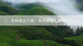 茶树菇怎么做，茶树菇怎么做菜