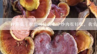 一种蘑菇干很细叫什么名字炒肉很好吃。我实在展销会