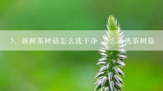 新鲜茶树菇怎么洗干净 怎么清洗茶树菇